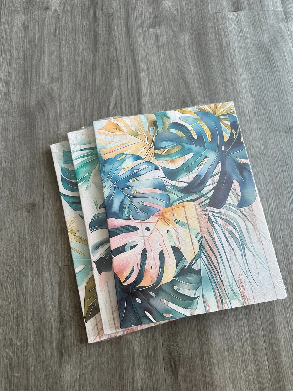 🆕 set of 3 12in x 16in Tropical Monstera Triptych Wall Art - Teal & Coral